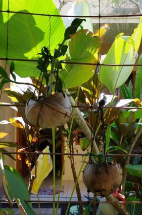 Pondok Mangga มาตารัม ภายนอก รูปภาพ